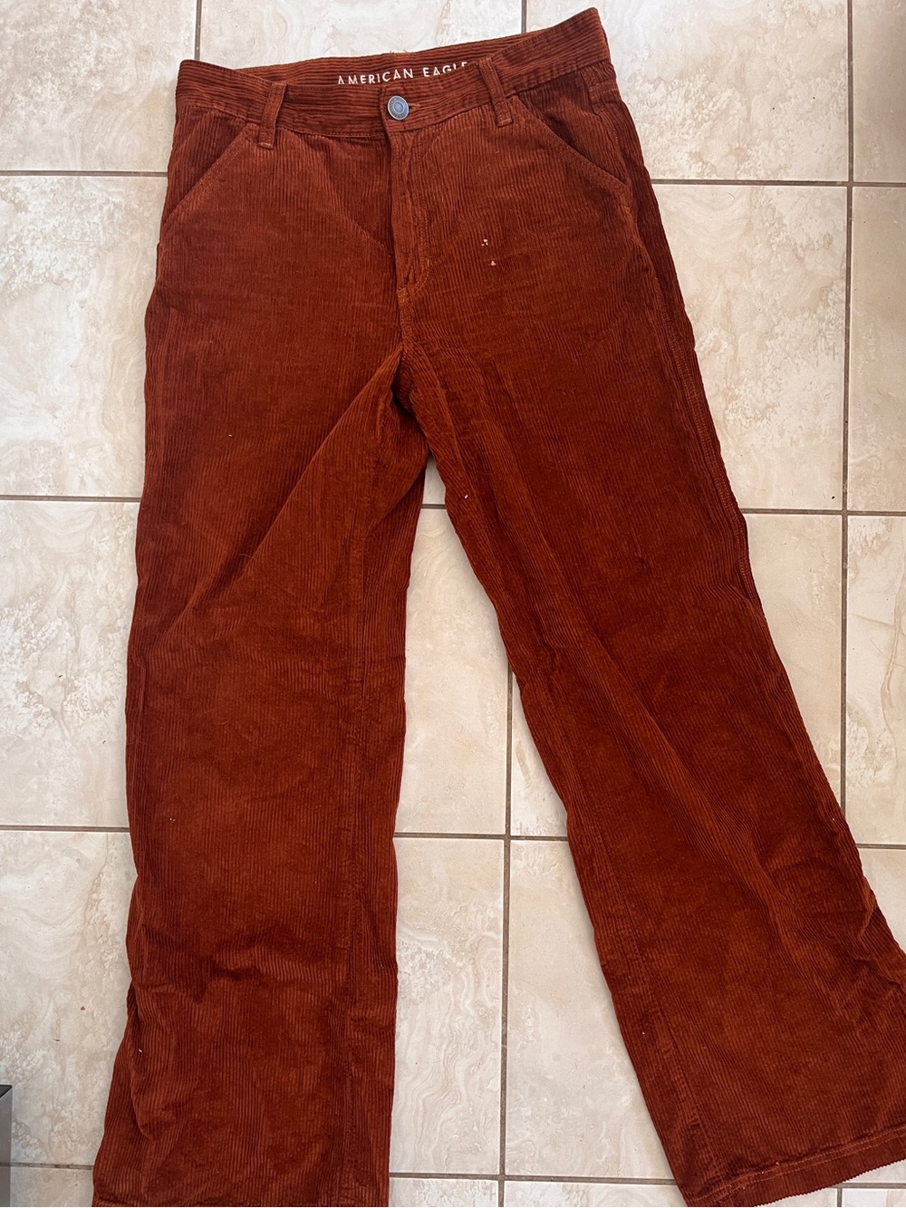 American Eagle Outfitters Rust Corduroy Wide Leg Pants
